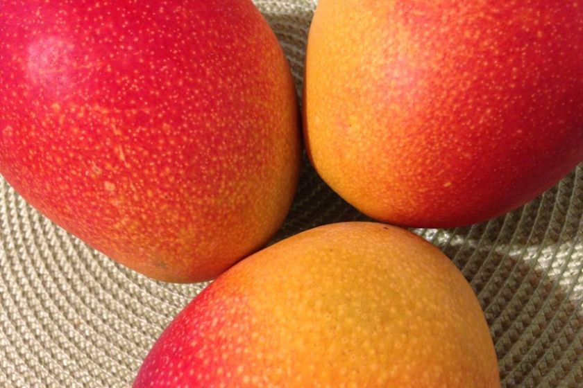 mangoes close up