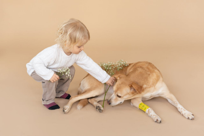 dog supporting kid flowers