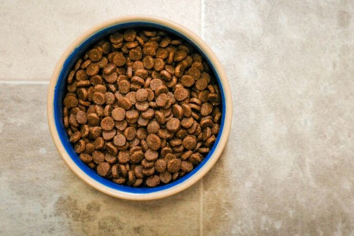 A bowl of dry dog food.