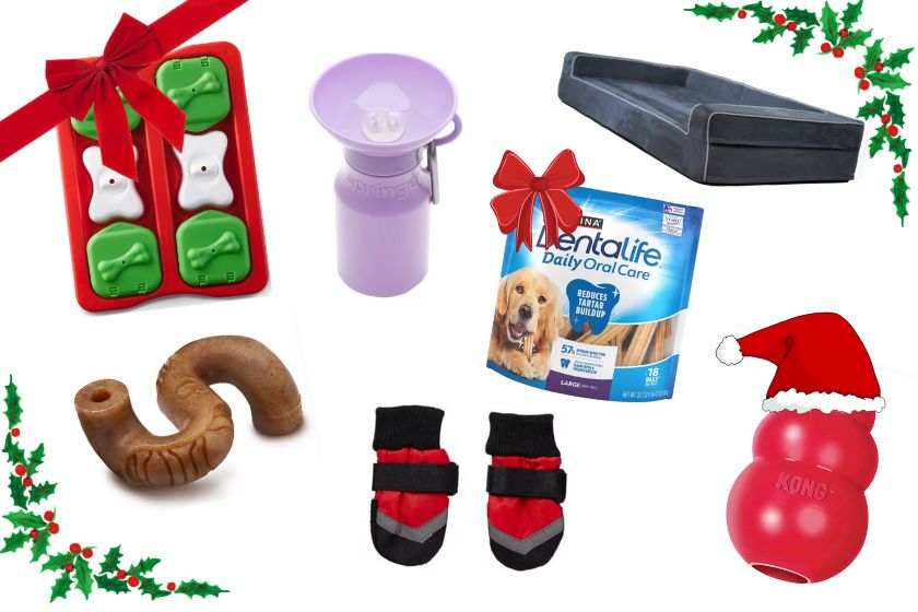 A collage of Christmas gifts for dogs.